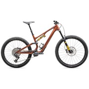 2025 Specialized Stumpjumper 15 - Öhlins Coil - Carbon Mountain Bike
